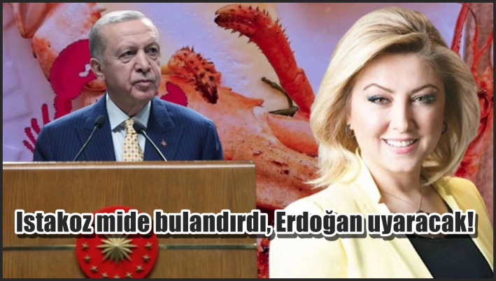Istakoz mide bulandırdı, Erdoğan uyaracak!