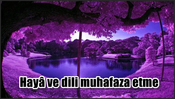 Hayâ ve dili muhafaza etme