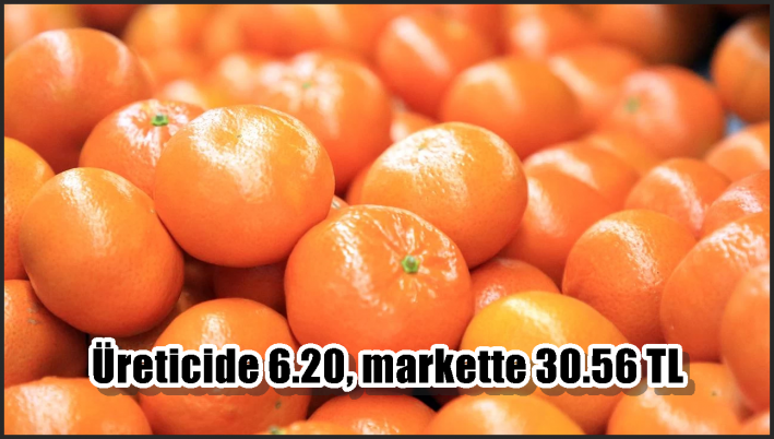 Üreticide 6.20, markette 30.56 TL