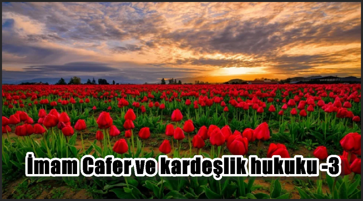 İmam Cafer ve kardeşlik hukuku -3-