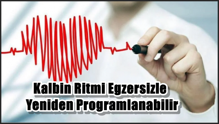 Kalbin Ritmi Egzersizle Yeniden Programlanabilir