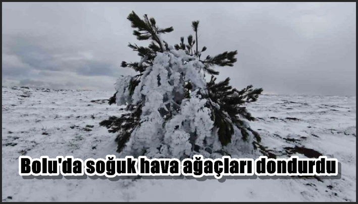 Bolu’da soğuk hava ağaçları dondurdu