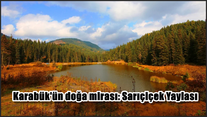 Karabük’ün doğa mirası: Sarıçiçek Yaylası