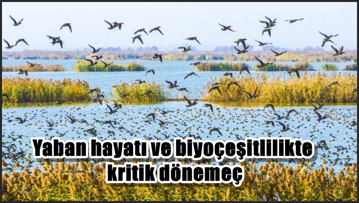 Yaban hayatı ve biyoçeşitlilikte kritik dönemeç
