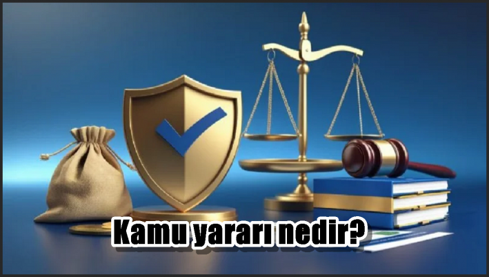 Kamu yararı nedir?