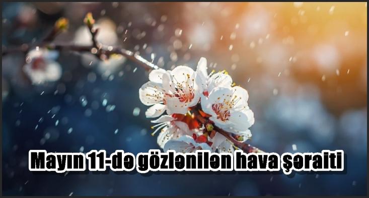 Mayın 11-də gözlənilən hava şəraiti