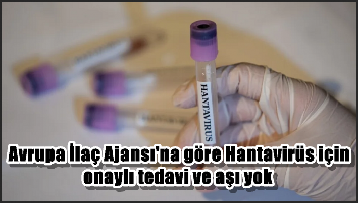 Avrupa İlaç Ajansı’na göre Hantavirüs için onaylı tedavi ve aşı yok