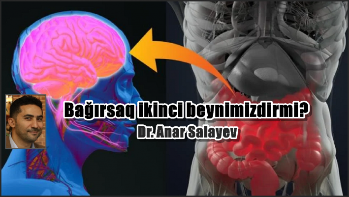 Bağırsaq ikinci beynimizdirmi?