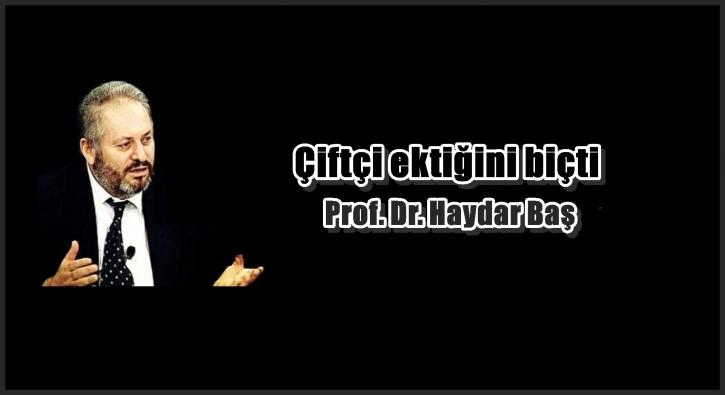 Çiftçi ektiğini biçti