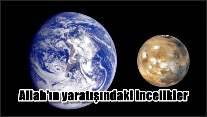 Allah’ın yaratışındaki incelikler